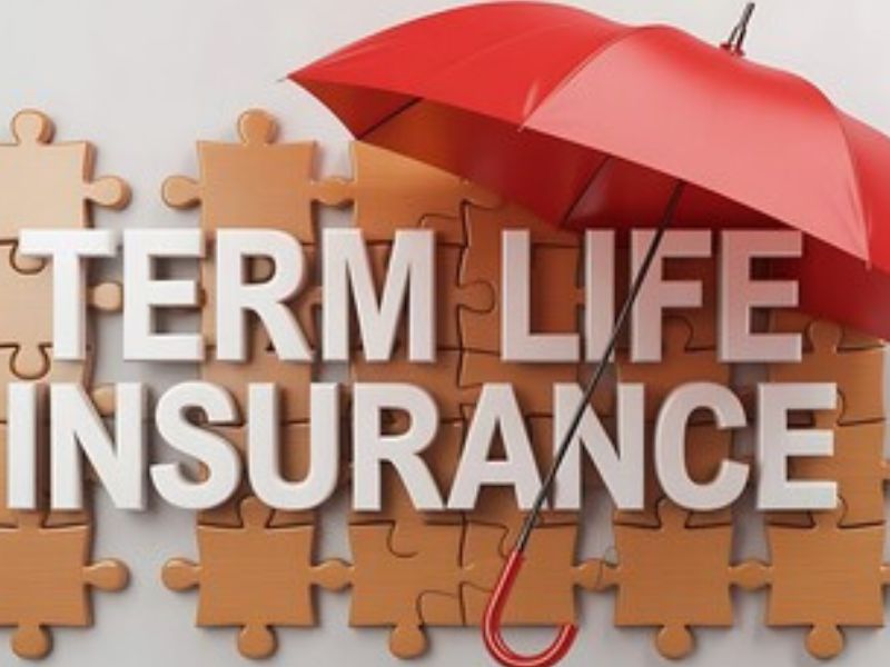 Term Insurance: Affordable Protection for Your Family’s Financial Future. टर्म इंश्योरेंस: कम प्रीमियम में परिवार की सबसे मजबूत सुरक्षा
