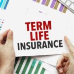 untitled design (16)