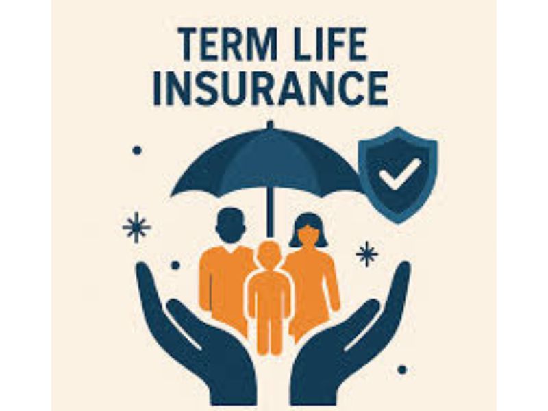 Term Insurance: Affordable Protection for Your Family’s Financial Future. टर्म इंश्योरेंस: कम प्रीमियम में परिवार की सबसे मजबूत सुरक्षा