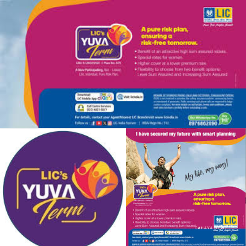 untitled design (29)