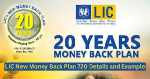 untitled design (42)